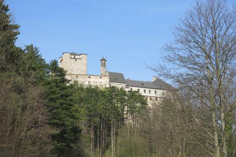 Burg auf einem bewaldeten Hügel, Farbfoto