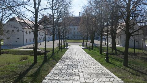 Blick durch eine Allee auf mehrere Gebäude, Schwarz-Weiß-Foto