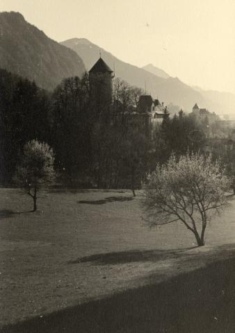 Blick über eine Wiese mit Bäumen auf Burggebäude hinter Bäumen, im Hintegrund Berge, Schwarz-Weiß-Foto